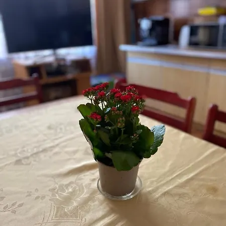Bella Casa Economy - Skibowa, Close To Bielany 브로츠와프