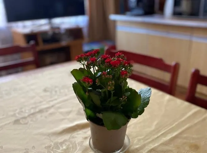 Bella Casa Economy - Skibowa, Close To Bielany Breslau